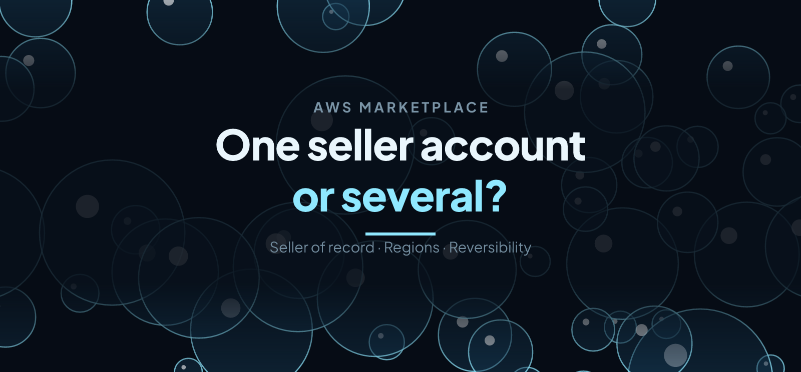 One or Multiple AWS Marketplace Seller Accounts?